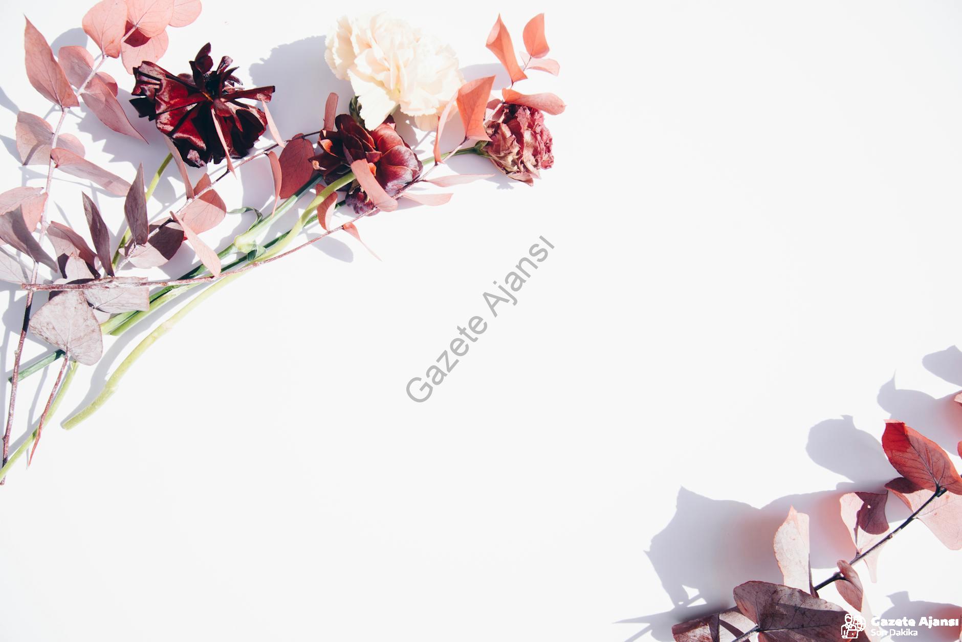 Davetiye Seçerken Nelere Dikkat Etmeli? İncidavetiye.com'da Cevabı Bulun