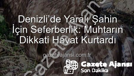 Denizli’de Yaralı Şahin İçin Seferberlik: Muhtarın Dikkati Hayat Kurtardı