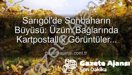 Sarıgöl’de Sonbaharın Büyüsü: Üzüm Bağlarında Kartpostallık Görüntüler Eşliğinde Budama Çalışmaları Başladı