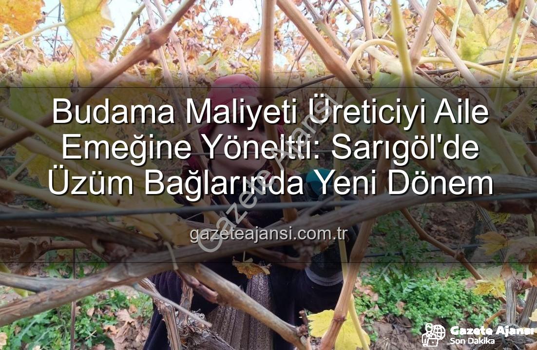 budama maliyeti - Budama Maliyeti Üreticiyi Aile Emeğine Yöneltti: Sarıgöl'de Üzüm Bağlarında Yeni Dönem