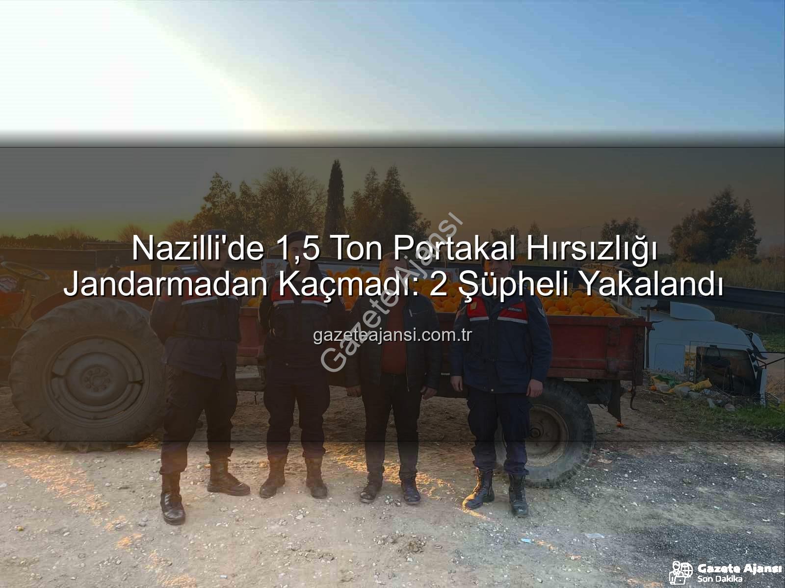 portakal hırsızlığı - Nazilli'de 1,5 Ton Portakal Hırsızlığı Jandarmadan Kaçmadı: 2 Şüpheli Yakalandı