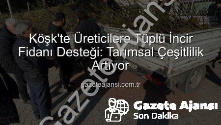 Köşk’te Üreticilere Tüplü İncir Fidanı Desteği: Tarımsal Çeşitlilik Artıyor
