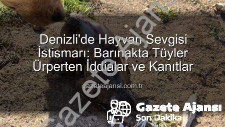 Denizli’de Hayvan Sevgisi İstismarı: Barınakta Tüyler Ürperten İddialar ve Kanıtlar