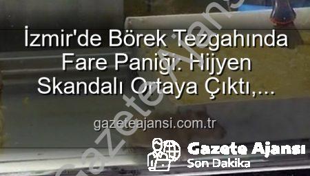 İzmir’de Börek Tezgahında Fare Paniği: Hijyen Skandalı Ortaya Çıktı, İşletme Mühürlendi!