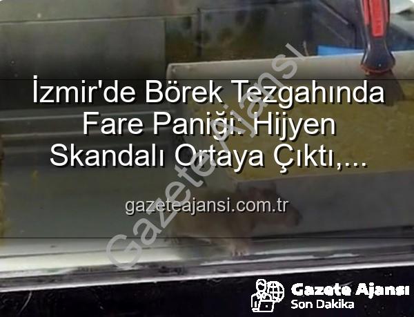 börek tezgahında fare - İzmir'de Börek Tezgahında Fare Paniği: Hijyen Skandalı Ortaya Çıktı, İşletme Mühürlendi!