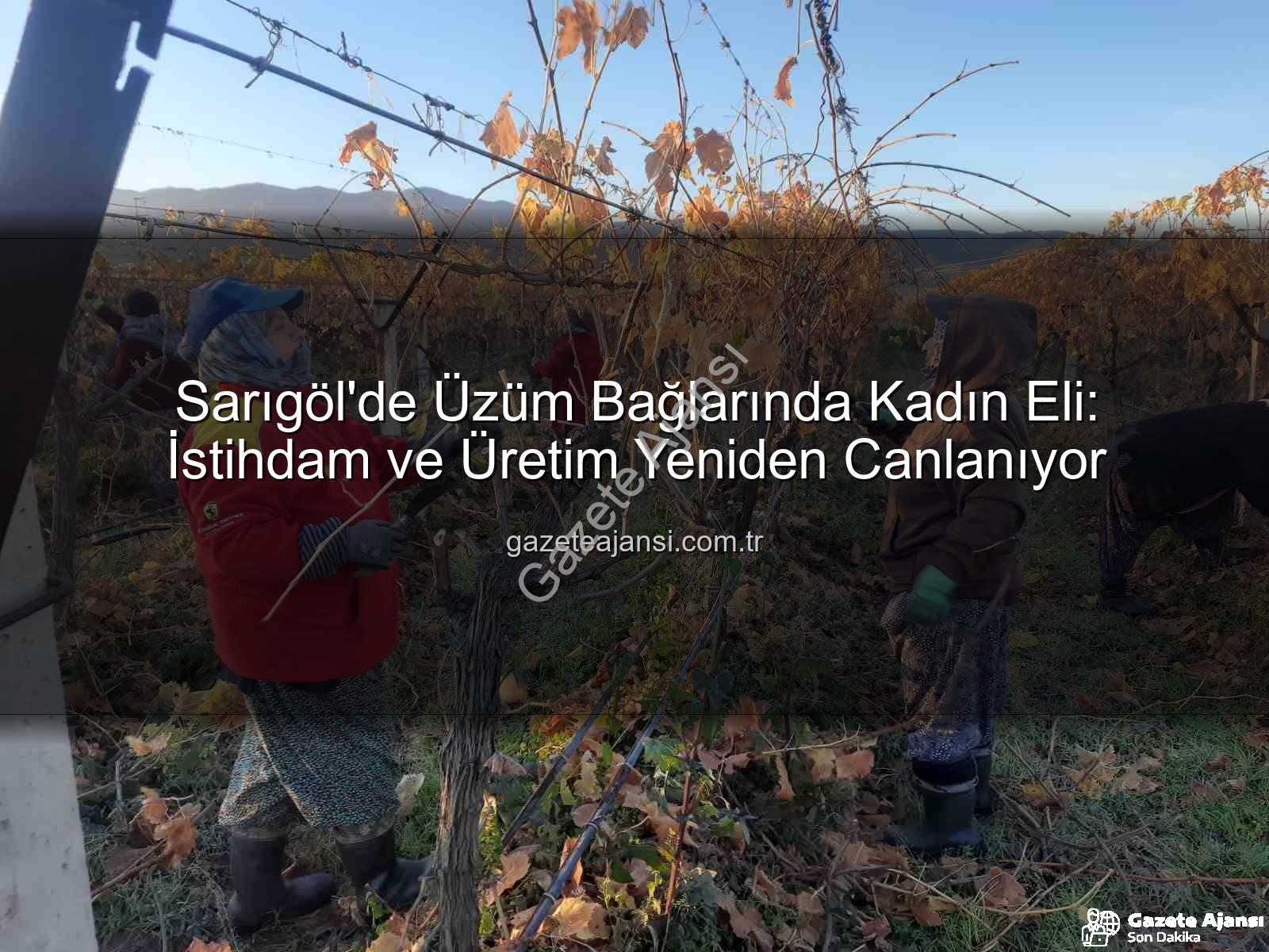 kadın istihdamı - Sarıgöl'de Üzüm Bağlarında Kadın Eli: İstihdam ve Üretim Yeniden Canlanıyor