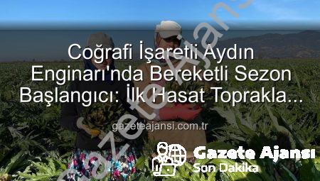 Coğrafi İşaretli Aydın Enginarı’nda Bereketli Sezon Başlangıcı: İlk Hasat Toprakla Buluştu