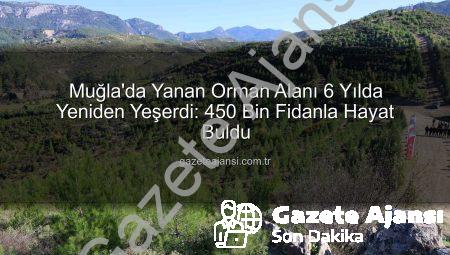 Muğla’da Yanan Orman Alanı 6 Yılda Yeniden Yeşerdi: 450 Bin Fidanla Hayat Buldu