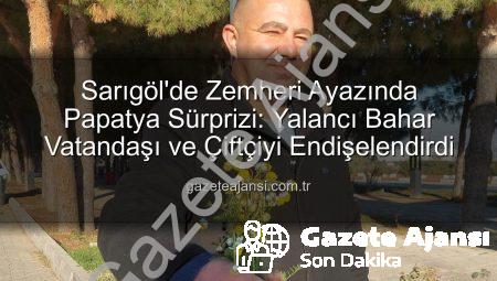 Sarıgöl’de Zemheri Ayazında Papatya Sürprizi: Yalancı Bahar Vatandaşı ve Çiftçiyi Endişelendirdi