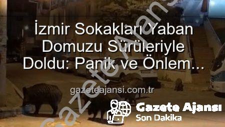 İzmir Sokakları Yaban Domuzu Sürüleriyle Doldu: Panik ve Önlem Çağrısı